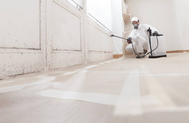 24/7 Emergency Mold Remediation experts in Niles, IL